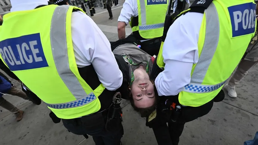 523 people were arrested during a protest in support of the 